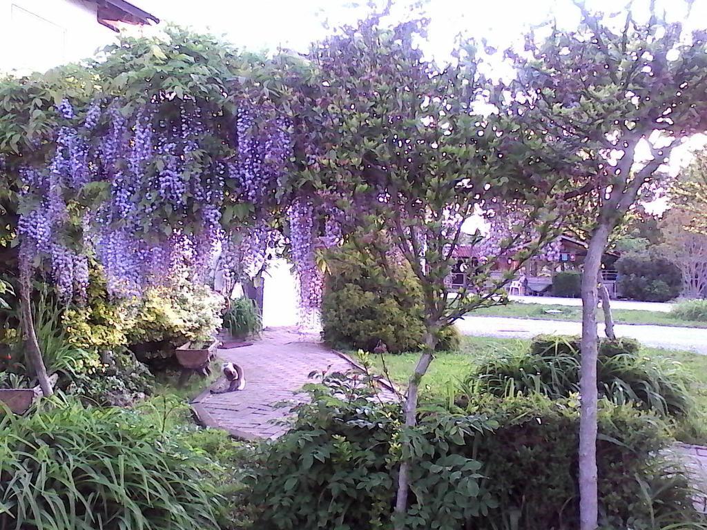 B&B Cm Ranch Кунео Экстерьер фото