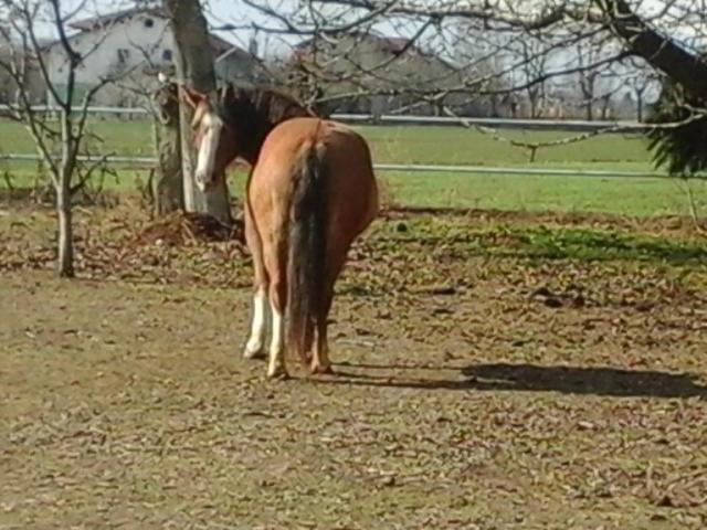 B&B Cm Ranch Кунео Экстерьер фото